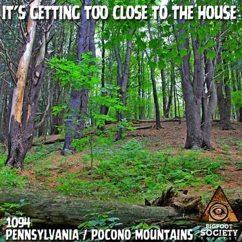 Poconos Bigfoot: The Night It Followed Us Home