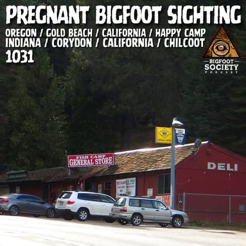 From the Rogue River to Navajo Nation: Real Bigfoot Encounters Across America