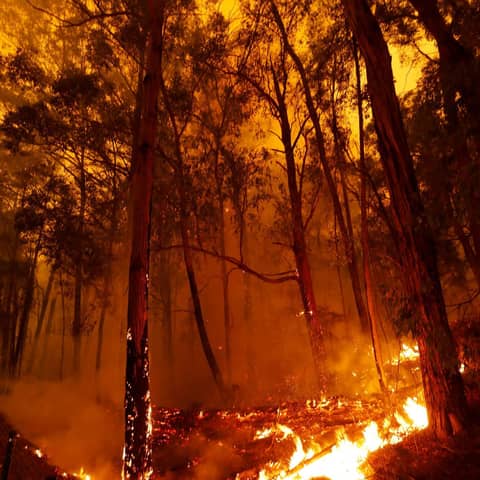 The Climate Change Method of Bible Interpretation