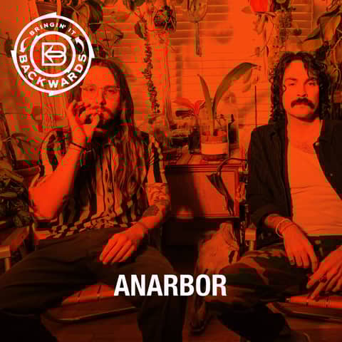 Interview with Anarbor