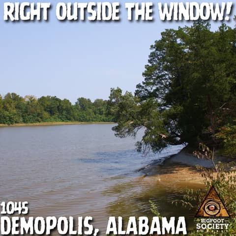 I Heard It Right Outside My Window (Alabama Bigfoot Encounter)
