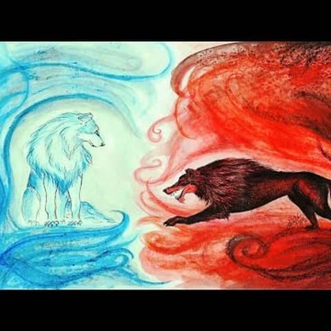 084. Los dos lobos  Cuento con valores y sabiduría