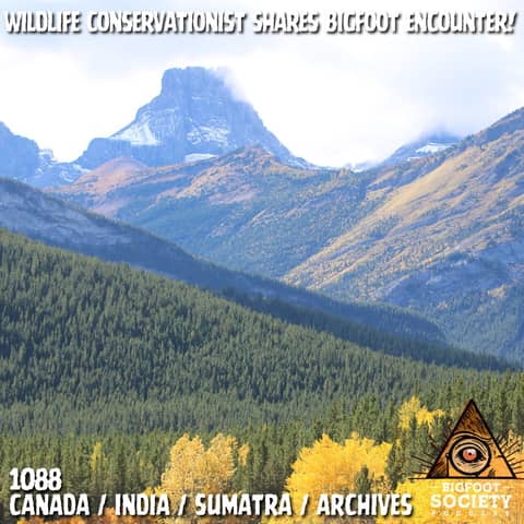 Wildlife Conservationist from India shares his Bigfoot Encounter | Archives