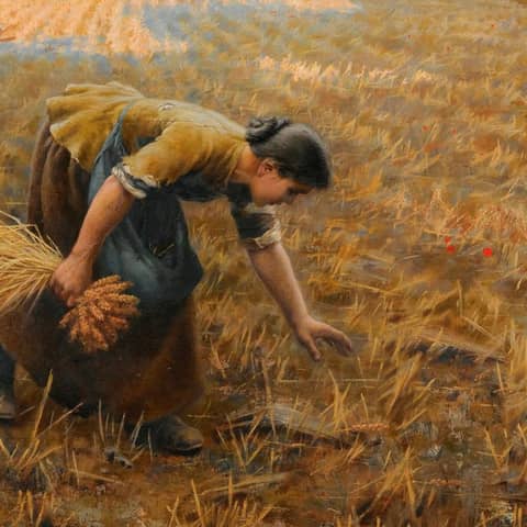 The Practice of Gleaning is Feeding People during the Pandemic