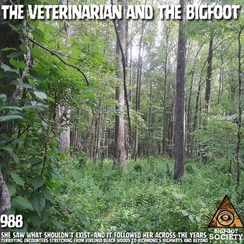 Bigfoot Follows Veterinarian Across Virginia—and Her Reality Is Shattered