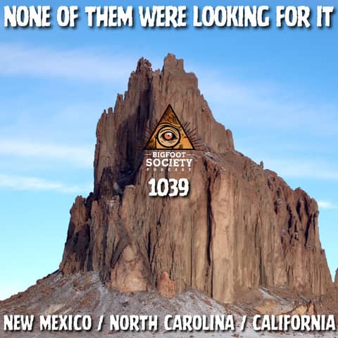 It Was 15 Feet Away… and Just Stood There