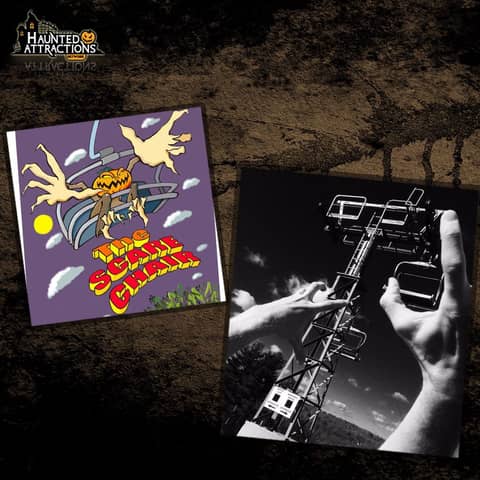 A Tale of Two Brothers