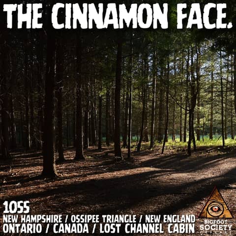 New Hampshire Hunter Finds 17-Inch Tracks | Ontario Witness Reports Cabin Encounter