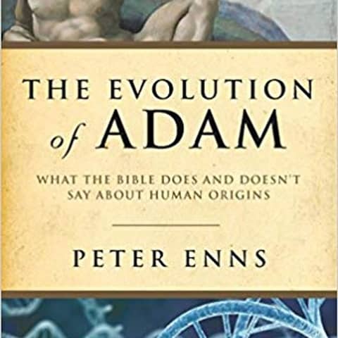 Problems with the "Literal" Adam