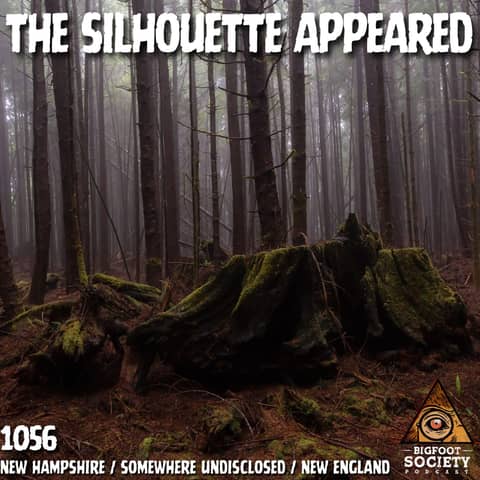 White Mountains of New Hampshire: Cloaking, Telepathy, and a Massive Forest Encounter