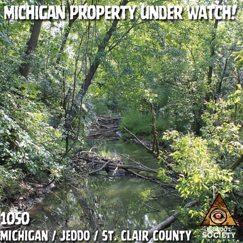 When the Forest Answers Back in Rural Michigan