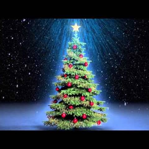 135. Audiocuento El arbolito de navidad
