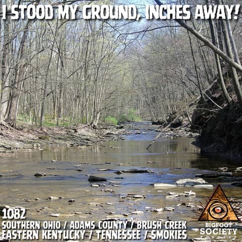 My Uncle Shot a Bigfoot… and It Didn’t Die