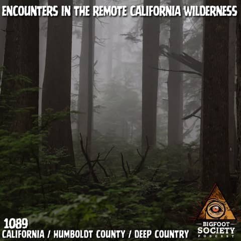 He Lived 25 Years in Bigfoot Territory… Then It Came Into His House!