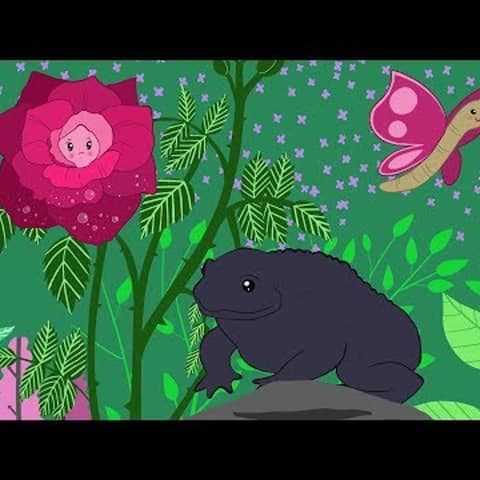 036. La Rosa y el Sapo  Cuento con valores