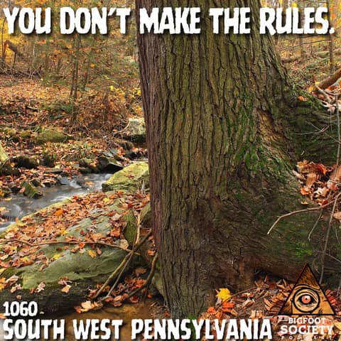 A Western Pennsylvania Energy Worker Shares Her Years of Sasquatch Encounters