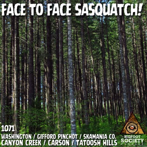 A Retired Military Veteran Shares His Face-to-Face Sasquatch Encounter in Gifford Pinchot National Forest