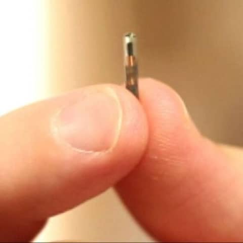 Bible Study Exercise: Mark of the Beast