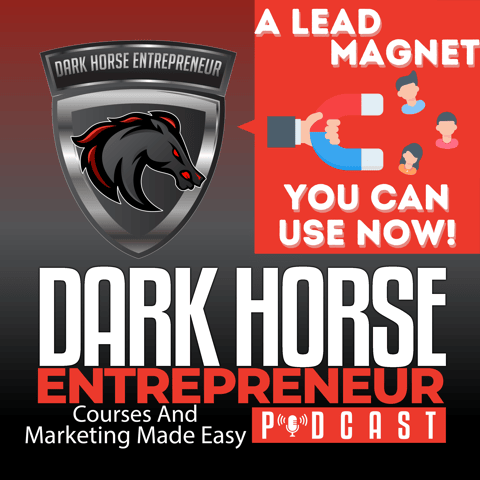 EP 380 A Multi Purpose Lead Magnet For Nearly Any Niche