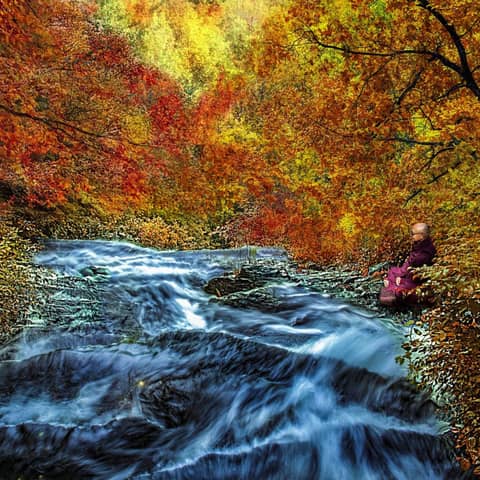 9 Hours Of Beautiful Healing Meditation Music For Better Sleep