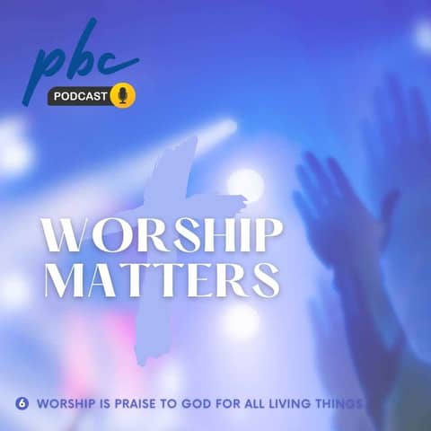 Worship Matters (6) | Gratitude for Animals & The Natural World