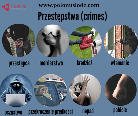 #395 Przestępstwa - Crimes