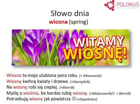 Welcome to Spring! An In-depth Dive into Polish Grammar
