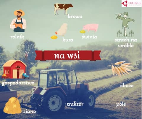 #374 Na wsi- In the countryside #374 Na wsi- In the countryside