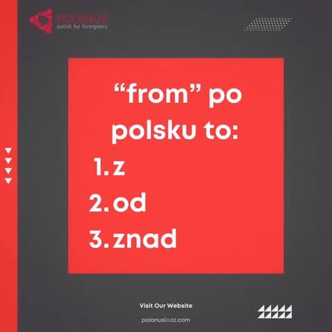 Unraveling the Complexity of Polish Prepositions