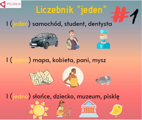 Learn Polish Podcast #426 Liczebnik (Jeden) - Ways to say one