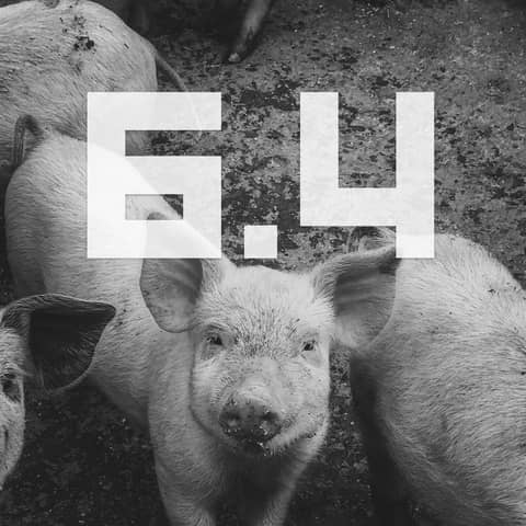 S6E4 - No Arms No Problem