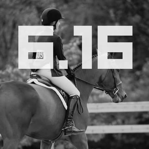 S6E16 - Electric Equestrian Fraud