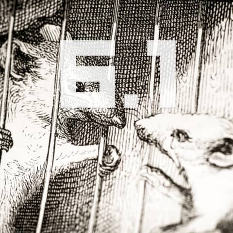 S6E31 - Butchers of Bosnia 5 - Concentration Camps