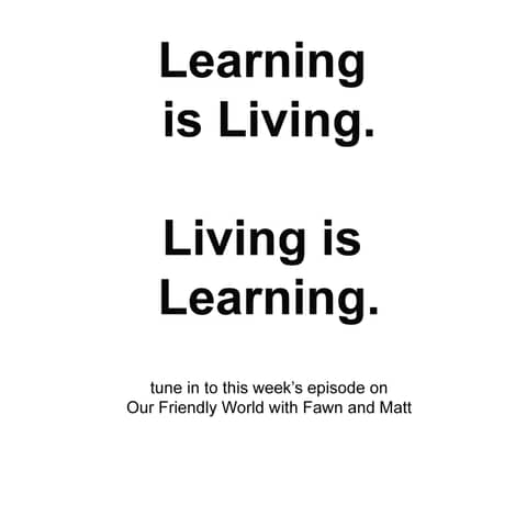 The University Vibe: Why Some Communities Thrive More Than Others