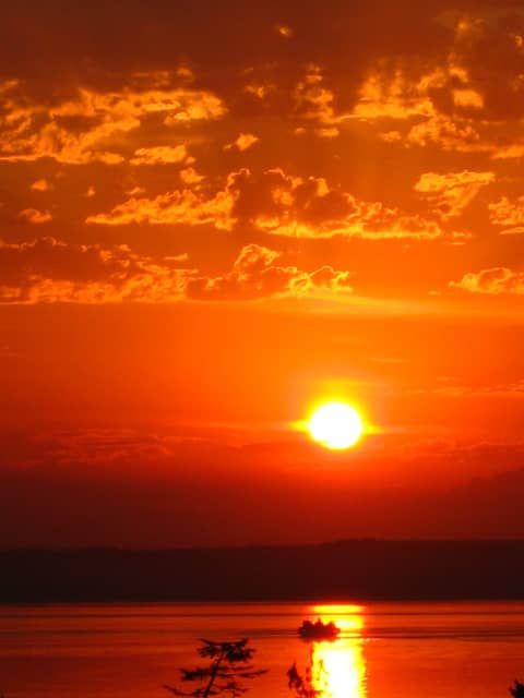 Revolution vs Evolution and the Art of a Coherent Community During Turbulent Times