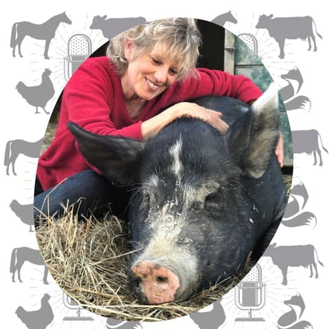 Kathy Stevens: The True Lives of Turkeys and Leading with Love