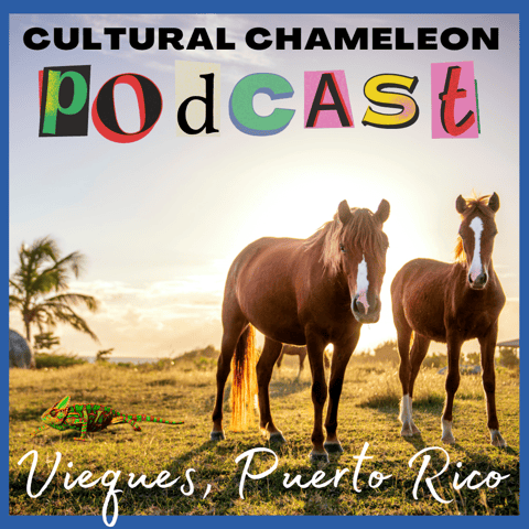Cultural Chameleon Episode 6 - Vieques, Puerto Rico