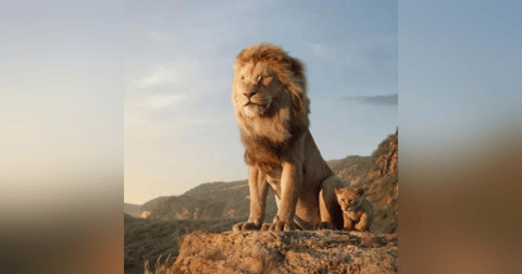 Por fin es viernes: 'Mufasa' Por fin es viernes: 'Mufasa'