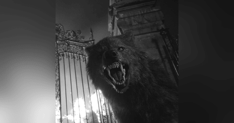 NAHUALES ATACAN PUEBLO EN MÉXICO Historias De Terror - REDE NAHUALES ATACAN PUEBLO EN MÉXICO Historias De Terror - REDE