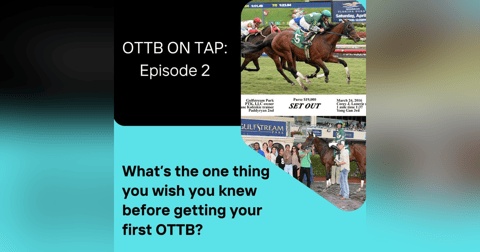 Ep.2 -- What's the one thing you wish you knew before buying your first OTTB? Ep.2 -- What's the one thing you wish you knew before buying your first OTTB?