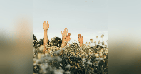 Vivir con Abundancia: Las leyes universales que debes conocer Vivir con Abundancia: Las leyes universales que debes conocer