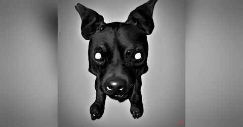 Historias de Miedo Marzo 22 de 2023 SE CONVERTIA EN ANIMAL Historias de Miedo Marzo 22 de 2023 SE CONVERTIA EN ANIMAL