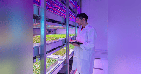 France's Future Farmers Have Tech Shrewdness, and Want Weekends Off France's Future Farmers Have Tech Shrewdness, and Want Weekends Off