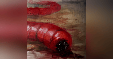 El Gusano Del Desierto Historias De Terror - REDE El Gusano Del Desierto Historias De Terror - REDE