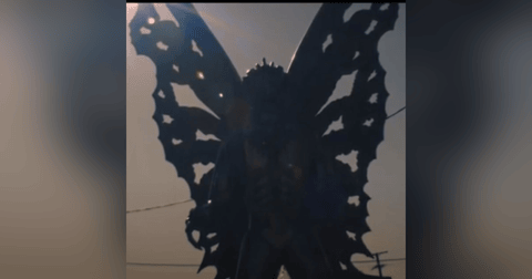 Historias de Miedo Octubre 7 de 2022 UN SER ALADO Historias de Miedo Octubre 7 de 2022 UN SER ALADO