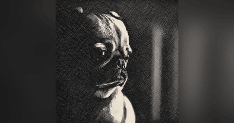 #86: Demystifying inflammatory brain disease. With Dr Sam Long #86: Demystifying inflammatory brain disease. With Dr Sam Long