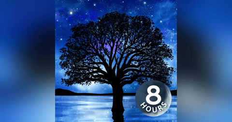 Relax & Sleep with White Noise | 8 Hour Relax & Sleep with White Noise | 8 Hour