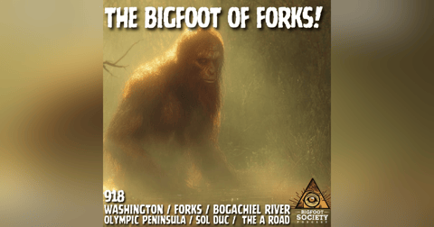 Blonde Sasquatch of the Bogachiel! | Washington Blonde Sasquatch of the Bogachiel! | Washington