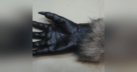 Historias de Miedo Diciembre 28 de 2021 PRESAGIOS Y LA MANO PELUDA Historias de Miedo Diciembre 28 de 2021 PRESAGIOS Y LA MANO PELUDA