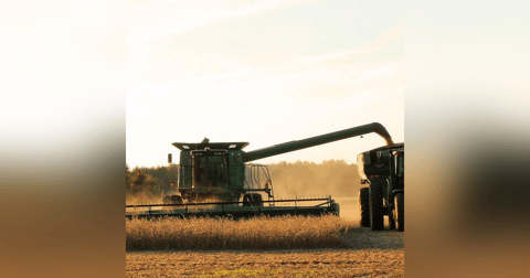 Bioinsumos ganha cada vez mais espaço no agronegócio Bioinsumos ganha cada vez mais espaço no agronegócio